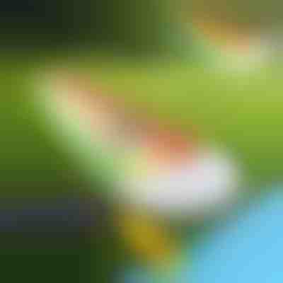 Felfújható vízicsúszda (465x80cm) | REEFLY