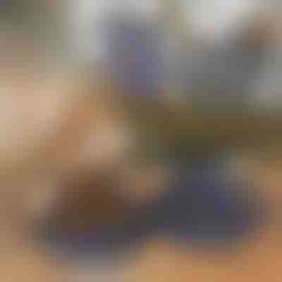 Összecsukható 2 az 1-ben tál ételhez és vízhez | WOOFDISH