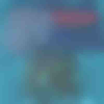 Gyorsan száradó fürdőnadrág | TOGGIES