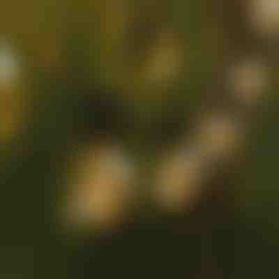 LED izzós fényfűzér | YARDBULBS