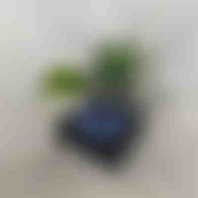 Retro hangszórós hullámvetítő | VIVAPLAY